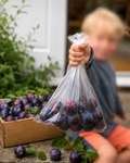 Bag of Plums
