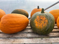 Pumpkins & Squash