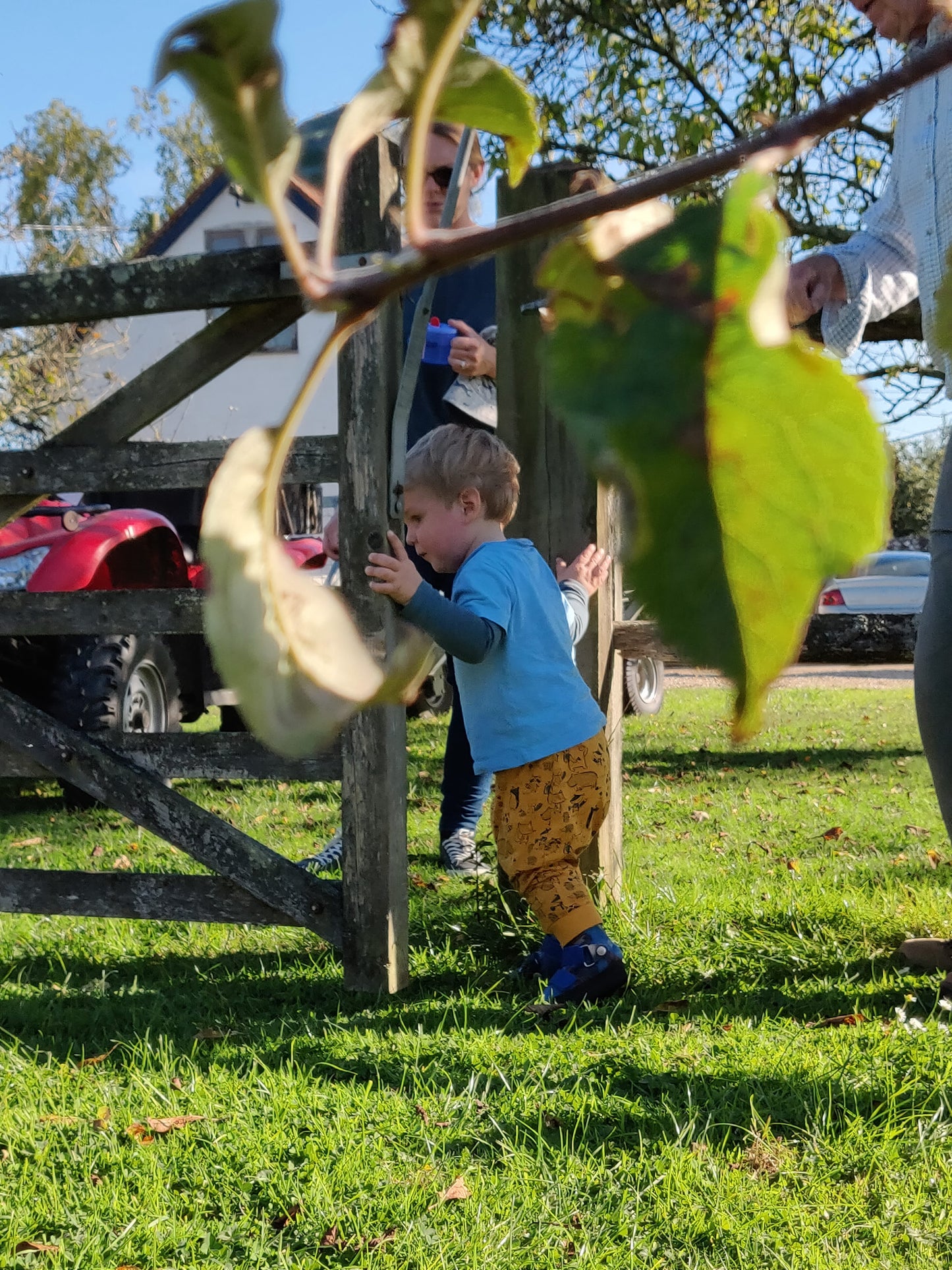 Family Fun on the Farm