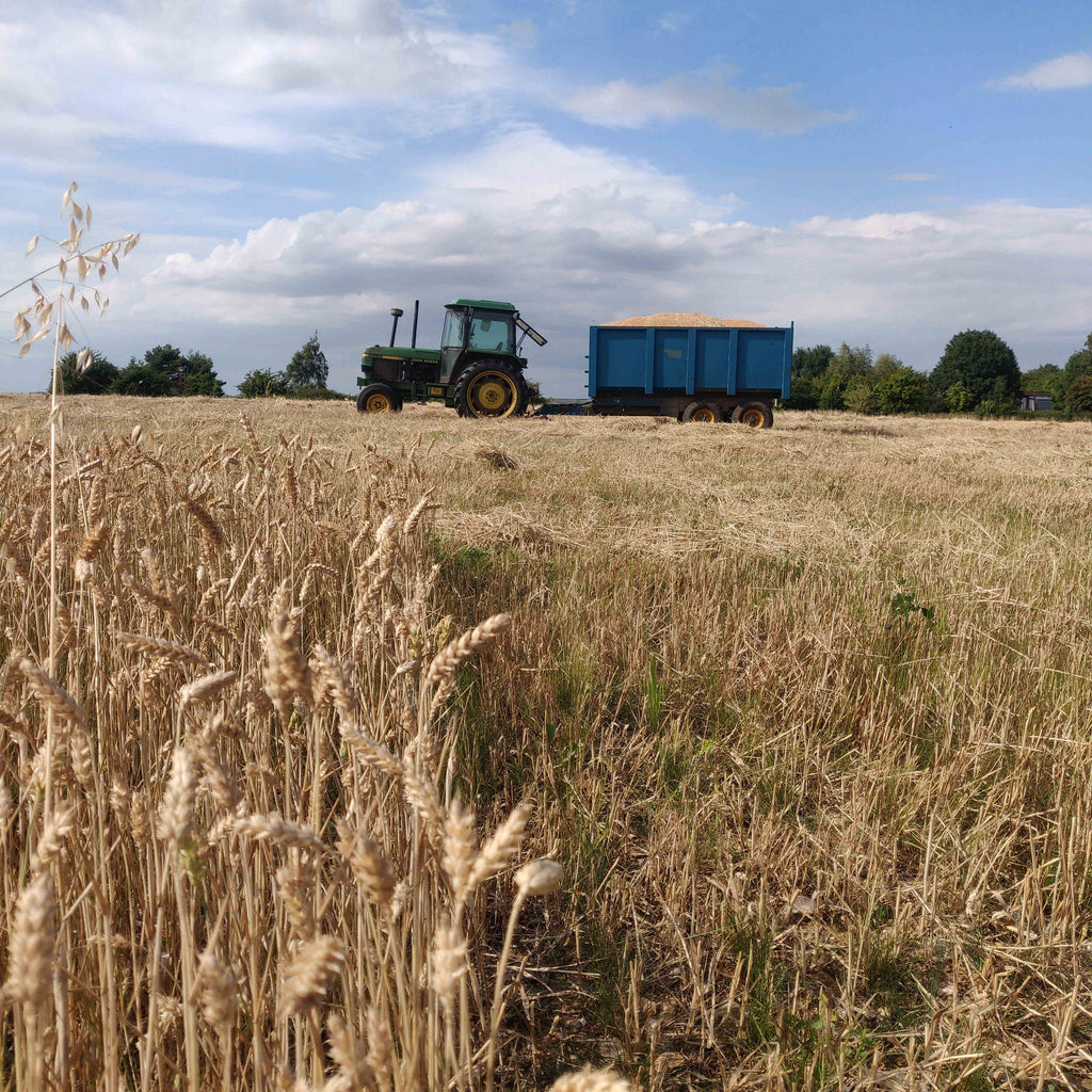Family Fun on the Farm