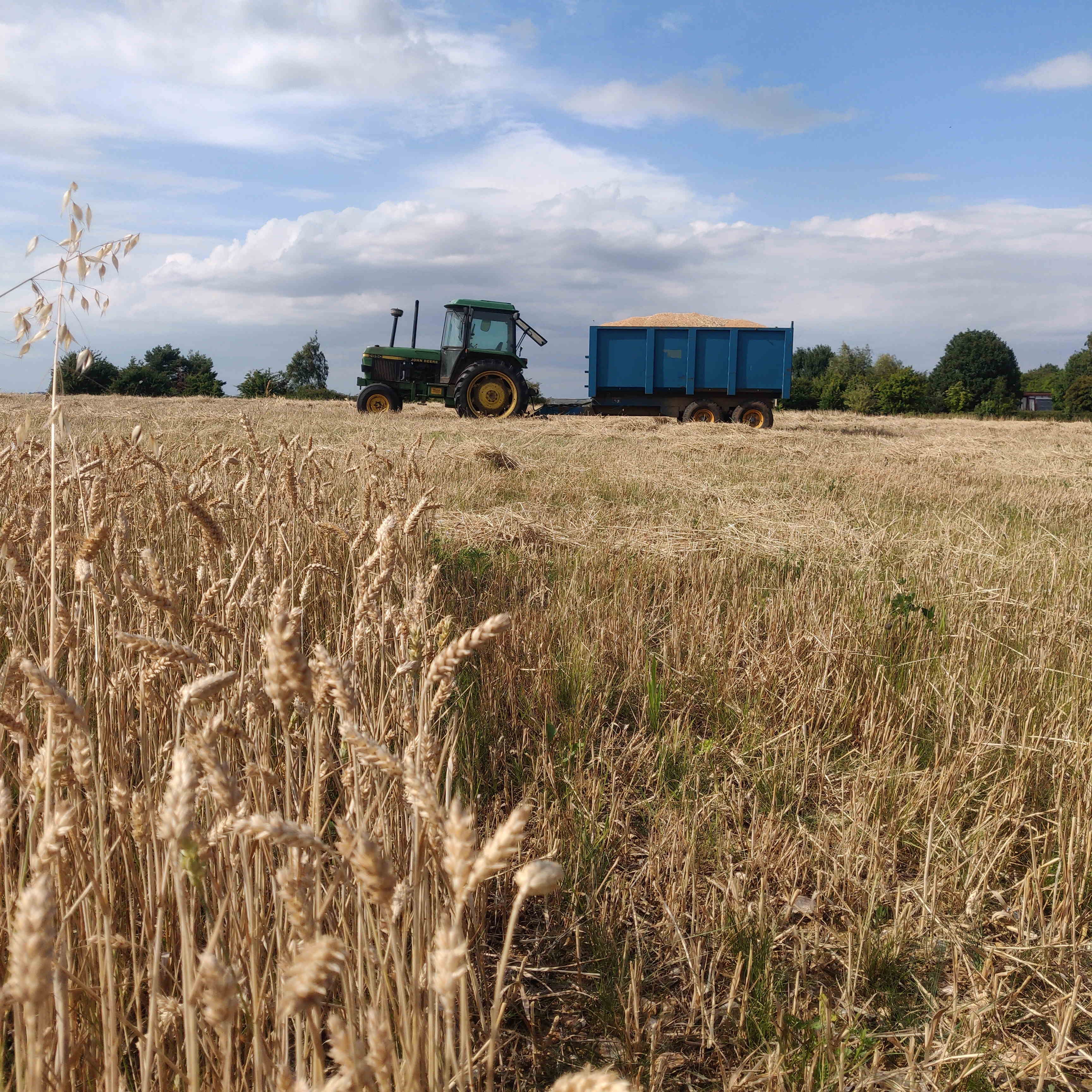 Family Fun on the Farm