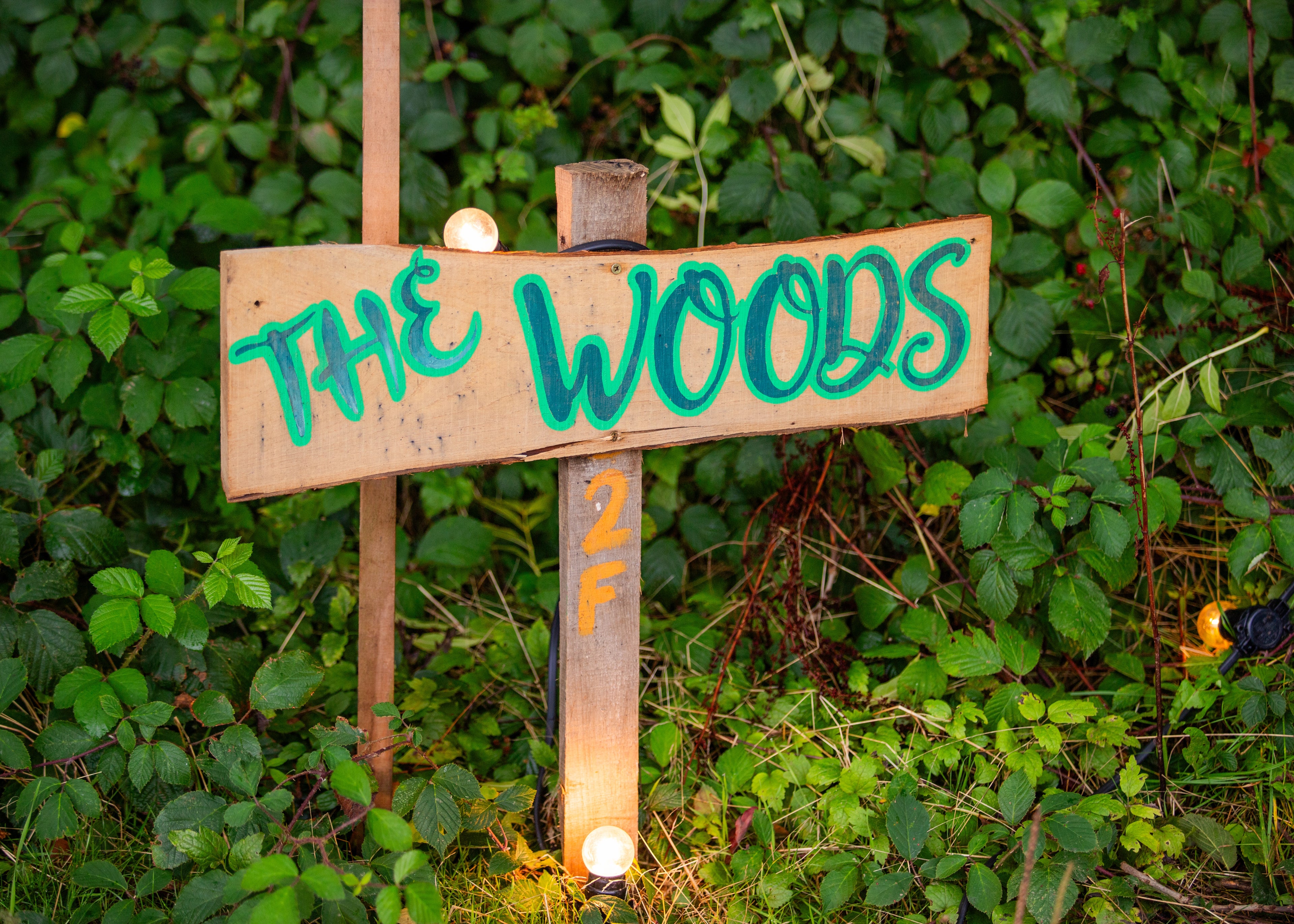 'The Woods' Hire