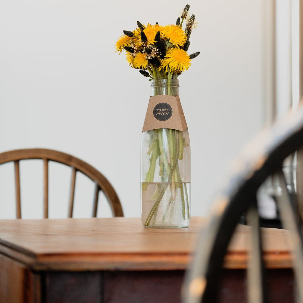 Curly - Pig Shed Cottage 3