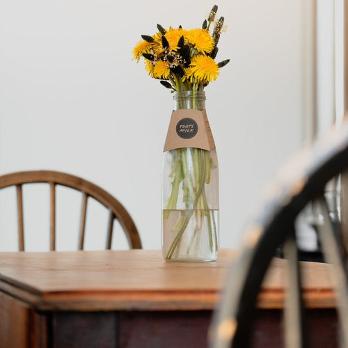 Curly - Pig Shed Cottage 3