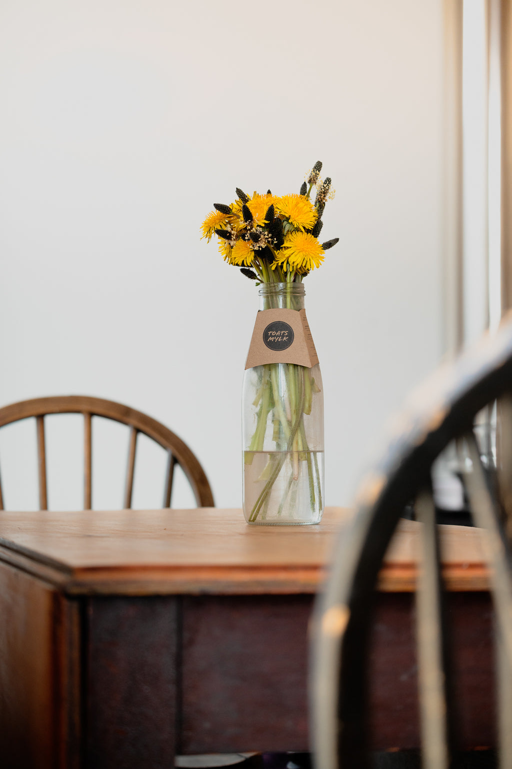 Spot - Pig Shed Cottage 2