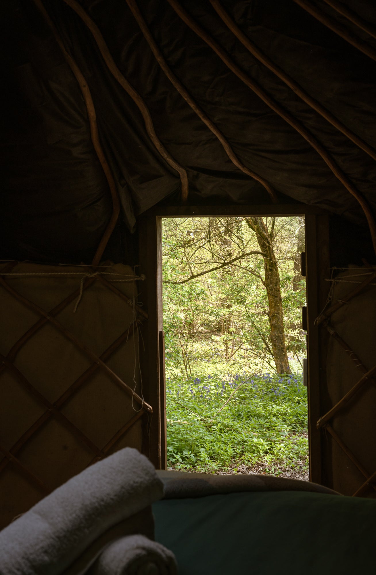 Woodland Yurt