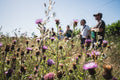 Farm Tour