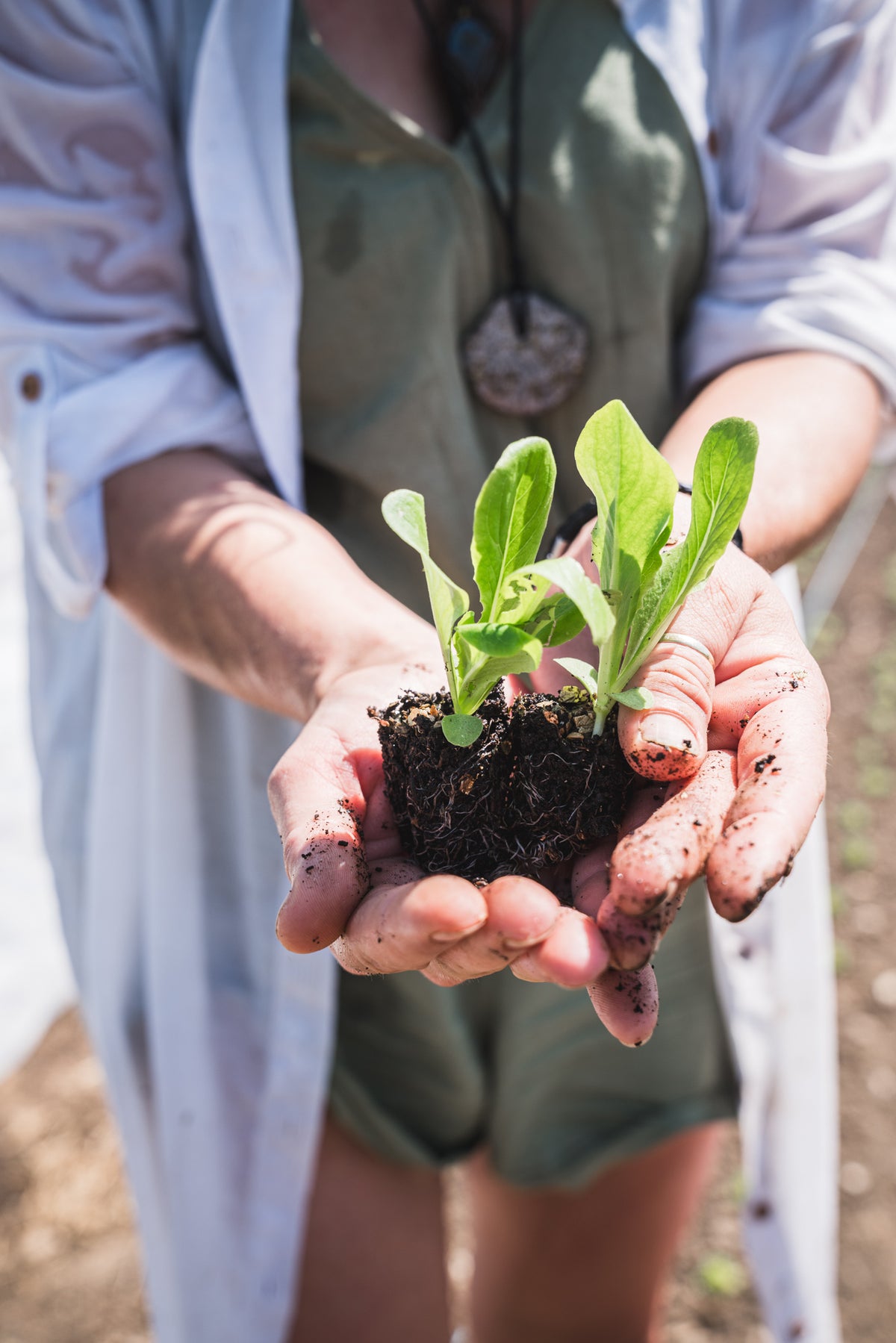 Little green fingers