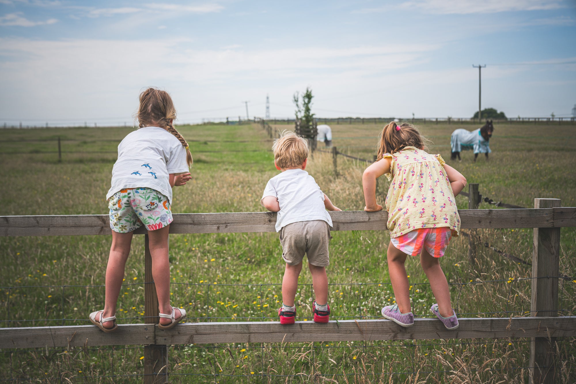 Farm Tour
