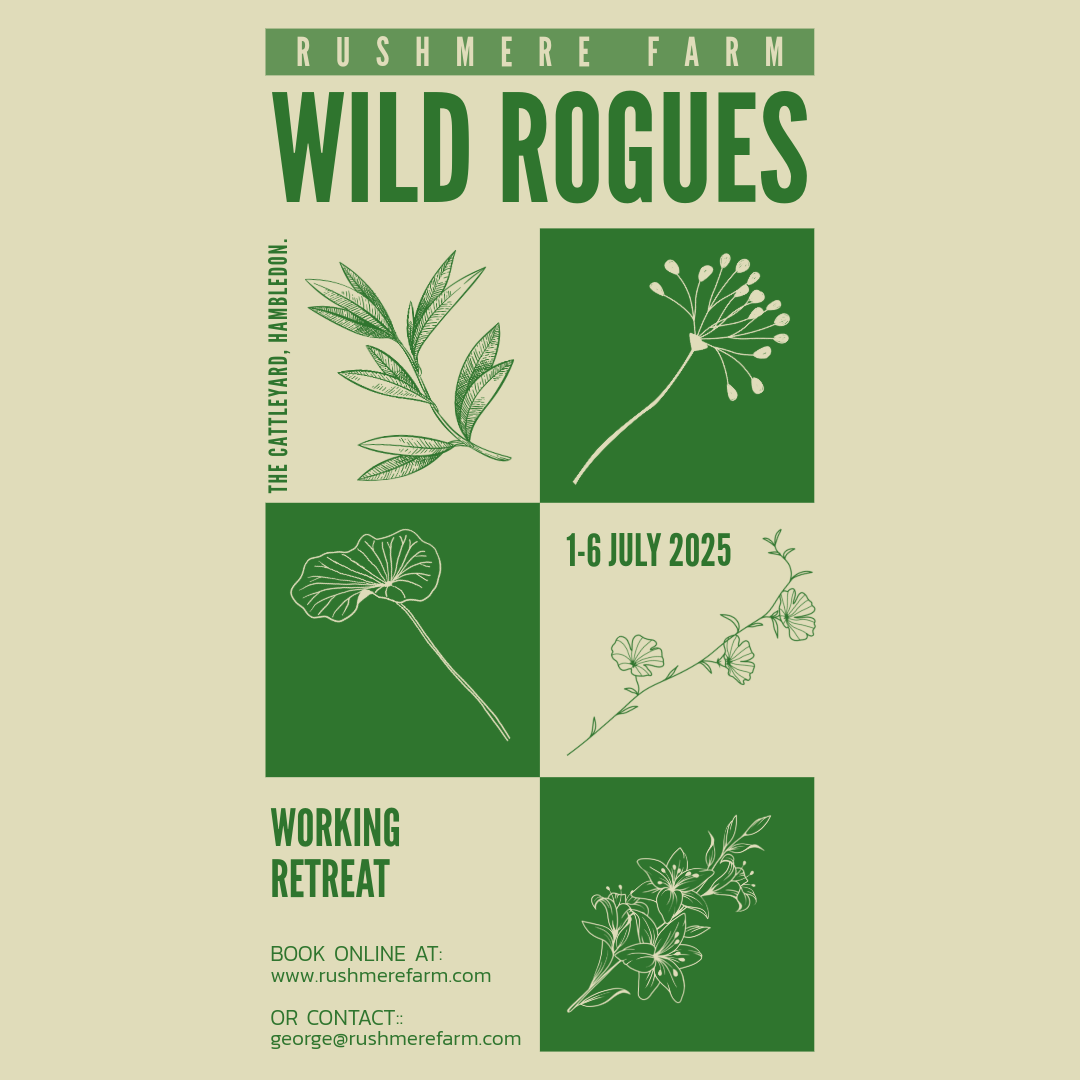 Wild Rogues