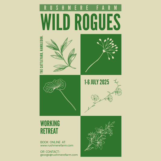 Wild Rogues