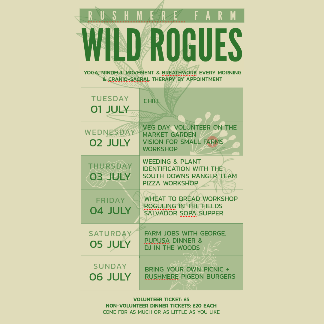 Wild Rogues