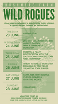 Wild Rogues