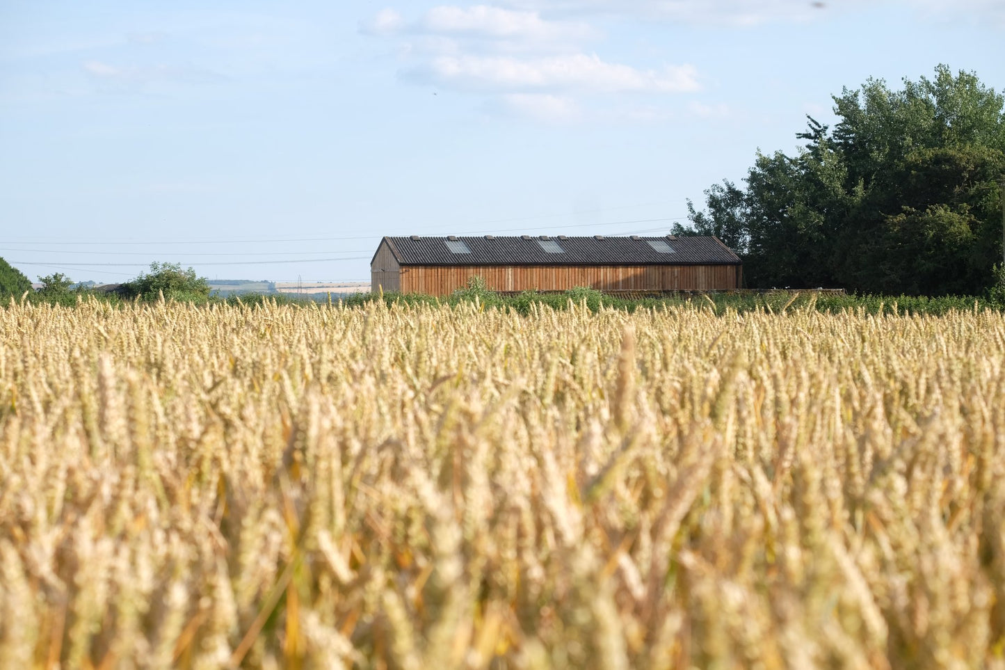 Farm Tour