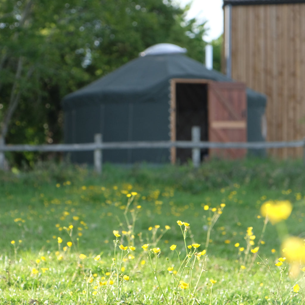 Farmyard Yurt