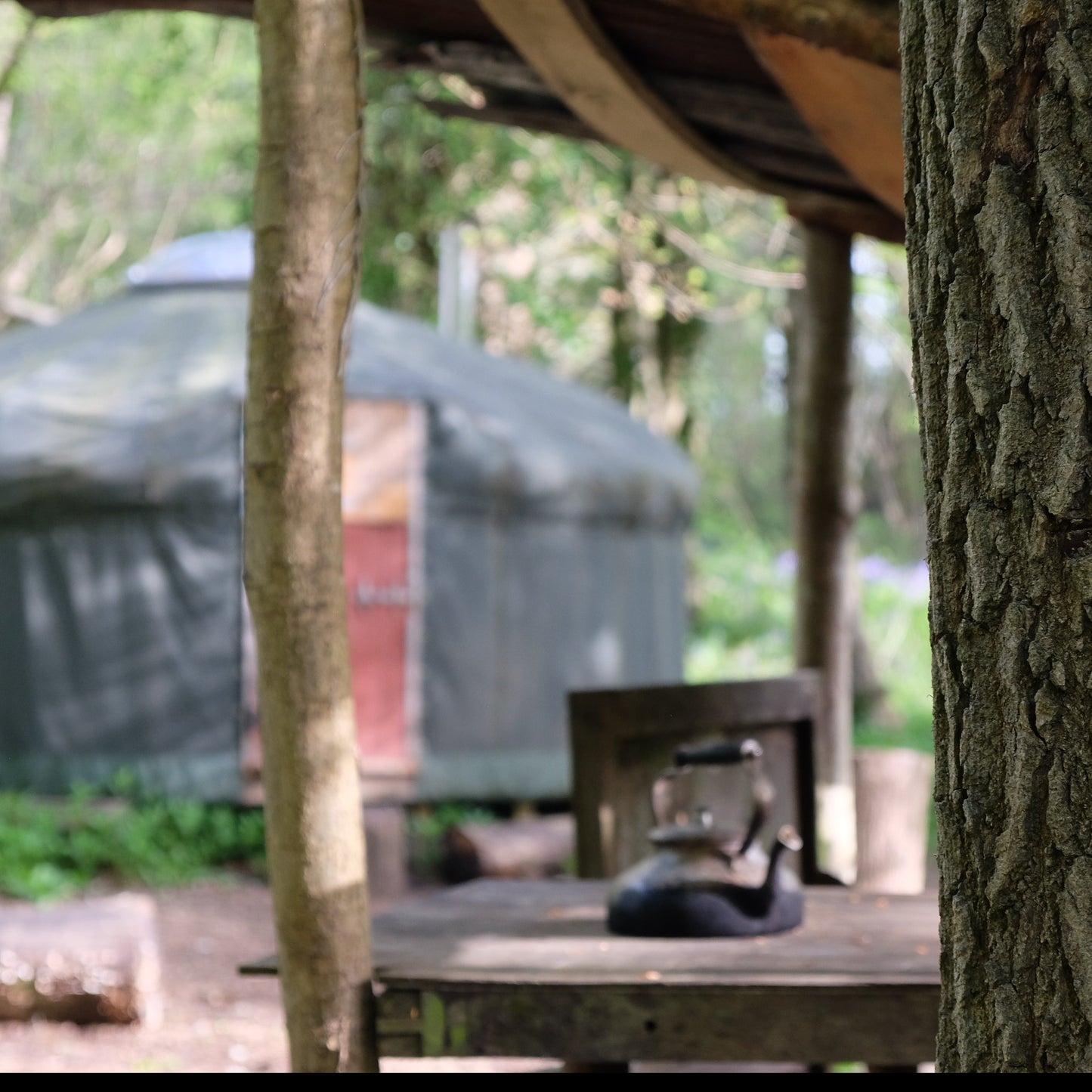 Woodland Yurt