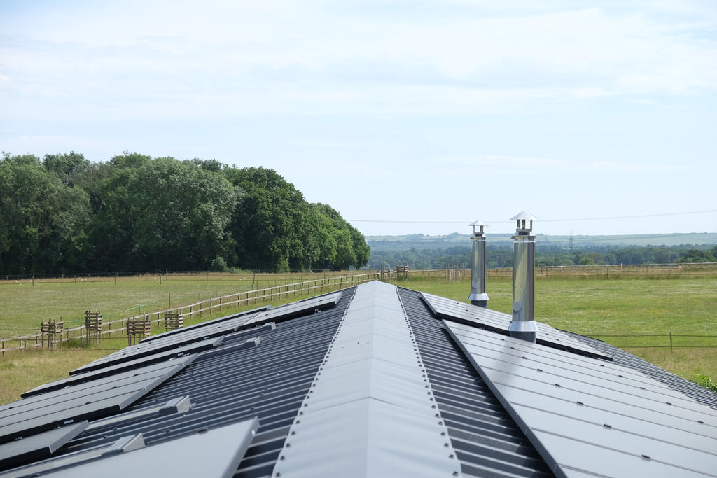 Curly - Pig Shed Cottage 3