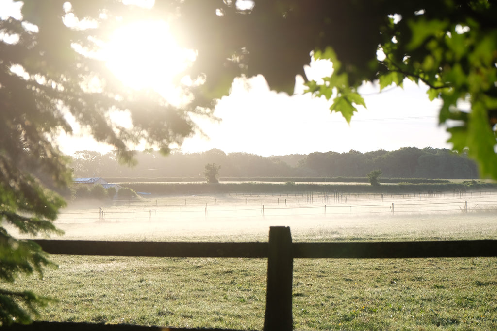 Motley - Pig Shed Cottage 1