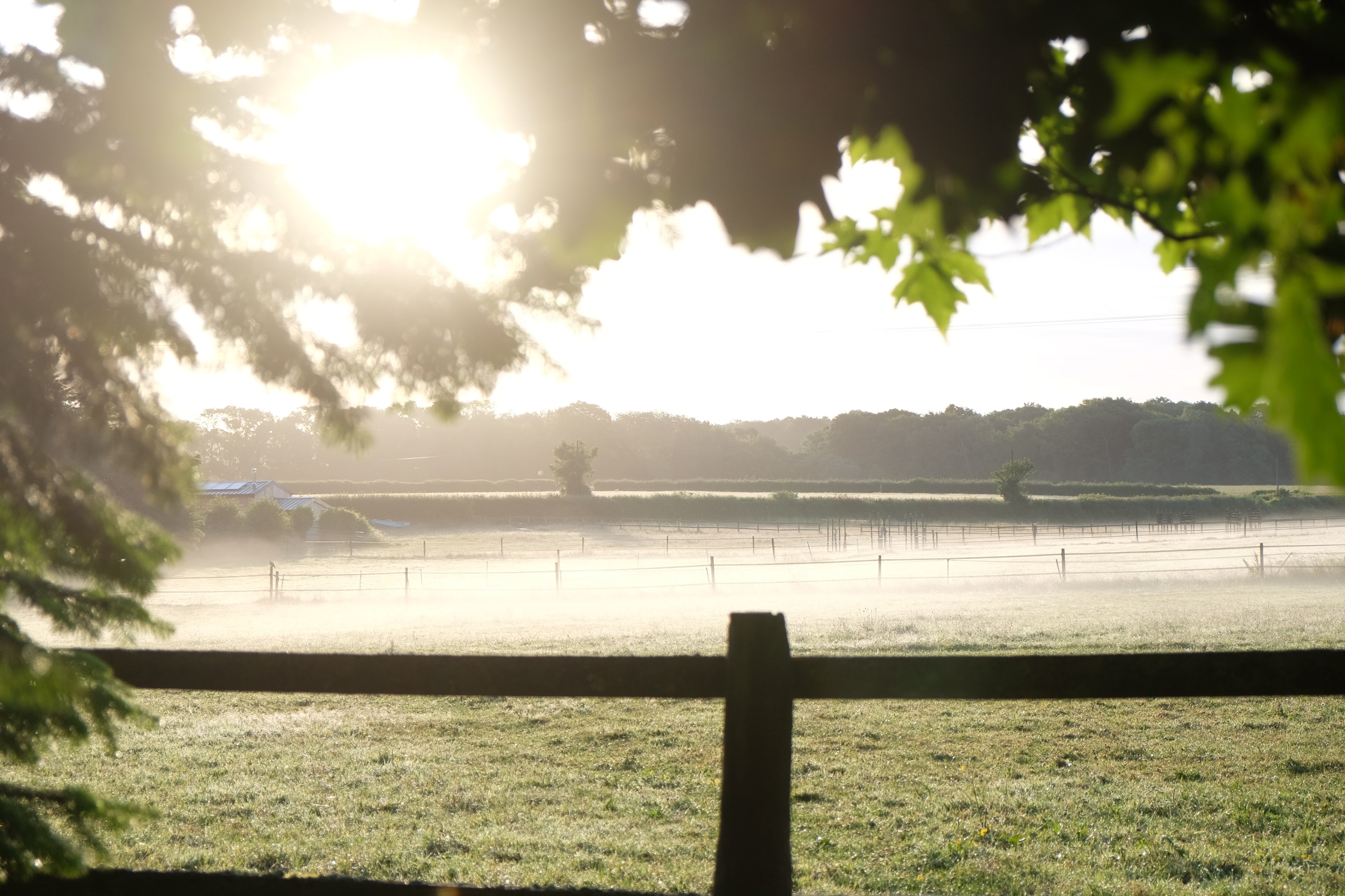 Motley - Pig Shed Cottage 1