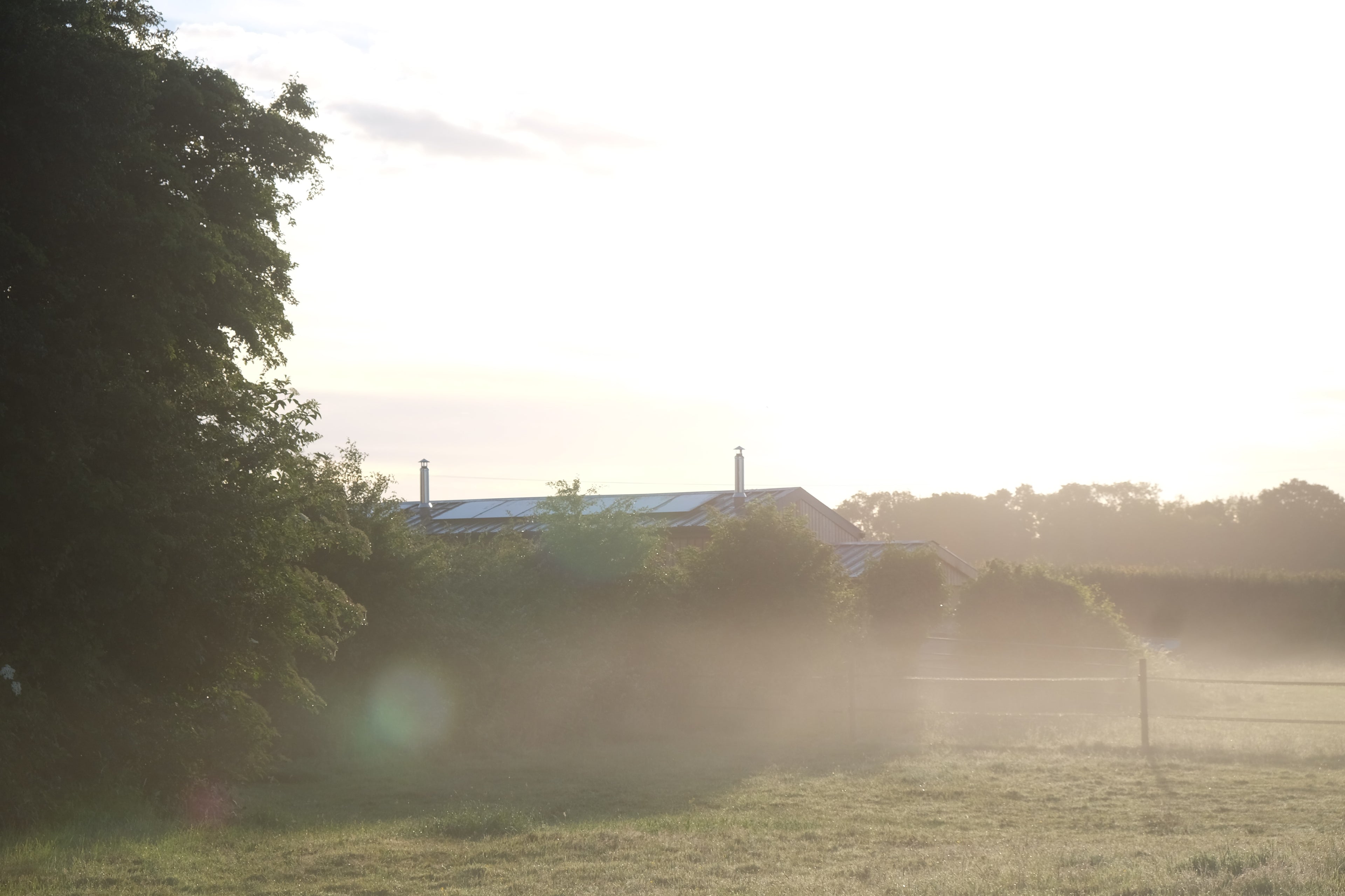 Curly - Pig Shed Cottage 3