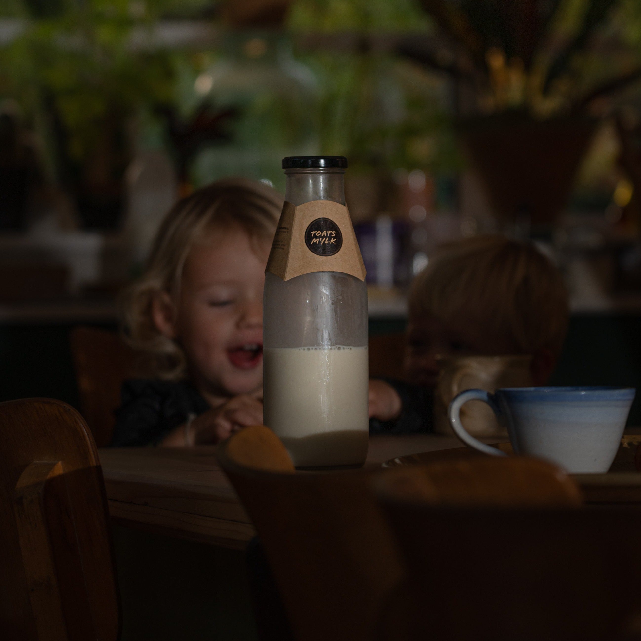 TOATS MYLK - 750ml Glass Bottle